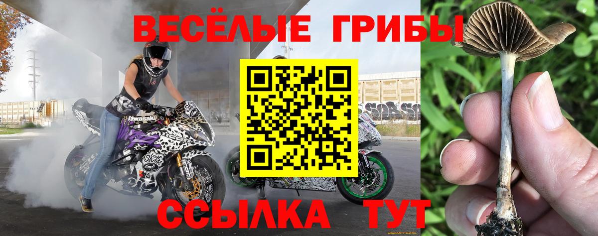 Псилоцибиновые грибы ЛСД Острогожск